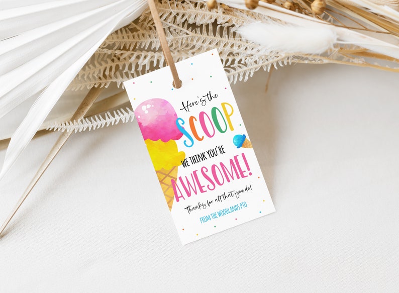 Ice Cream Gift Tag, Here's The Scoop You're Awesome, Summer Thank You Gift Label For School Staff Volunteer Employee, Teacher Appreciation image 5