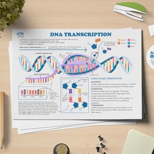 Poster stampabile sulla scienza della trascrizione del DNA