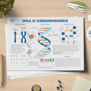 Póster imprimible de ciencia del ADN y los cromosomas
