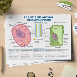 Plant and Animal Cells Science Printable Poster