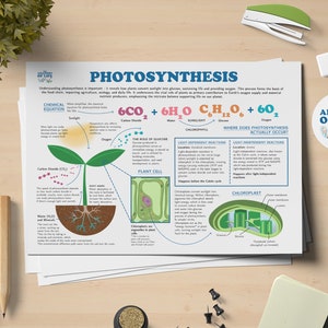 Plant Photosynthesis Science Printable Poster