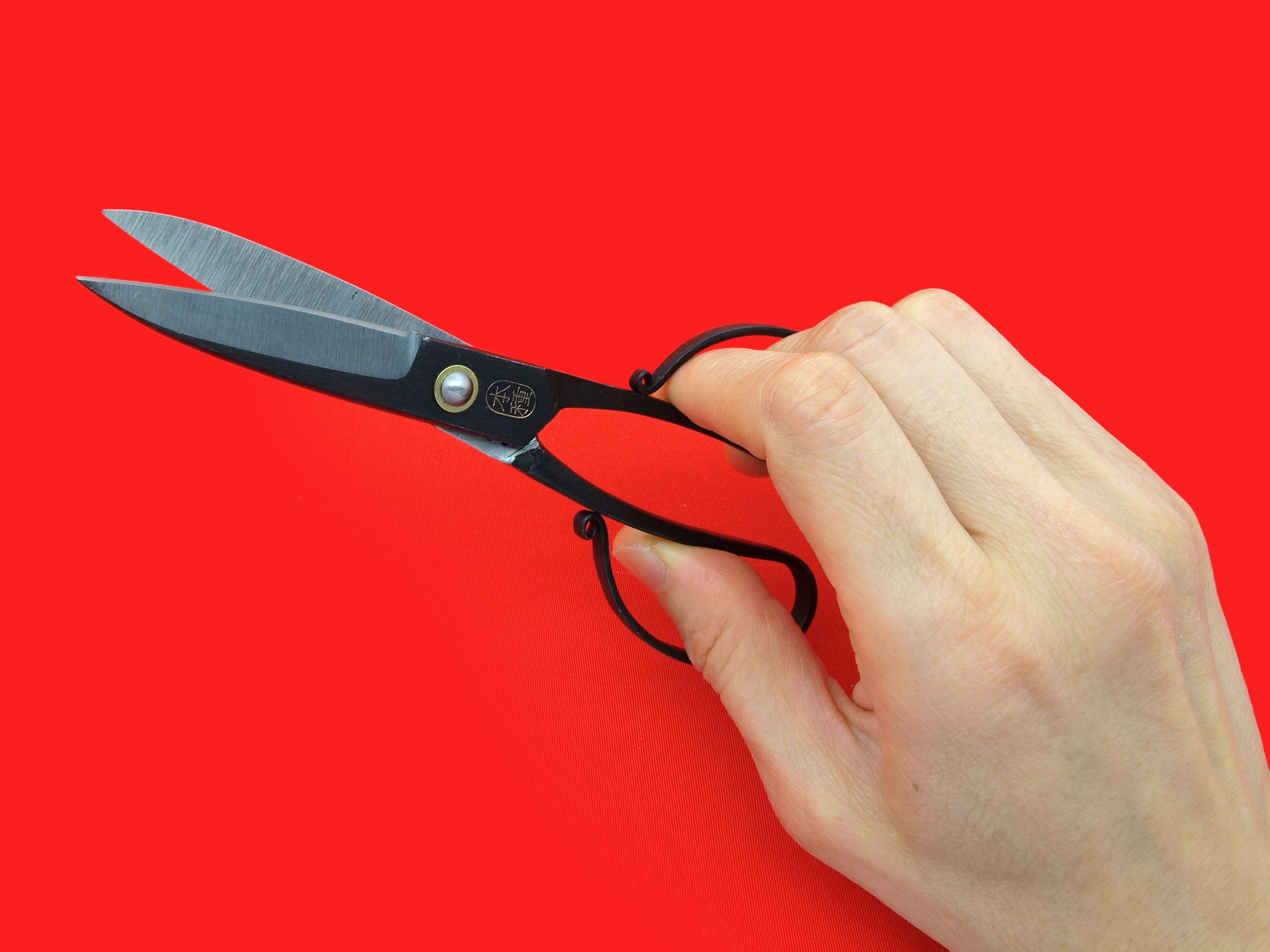 Fine Detail Cutting Precision Scissors - SprayGunner