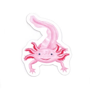 Axolotl sticker, animal sticker, cute sticker, axolotl gift, laptop sticker, water bottle sticker, vinyl decal, original axolotl art