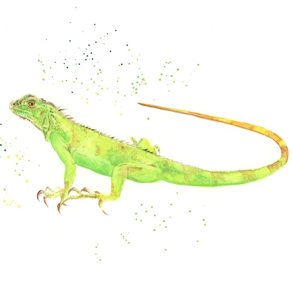 Lizard Art Etsy UK