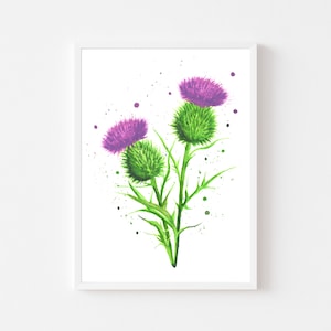 A3 Thistle print, thistle art, floral wall art, flower wall art, scottish art, scotland art, botanical print, watercolor wall art