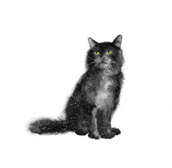 cat print gifts crazy cat image black cat print gifts christmas etsy cat print gifts crazy cat image black cat print gifts christmas etsy