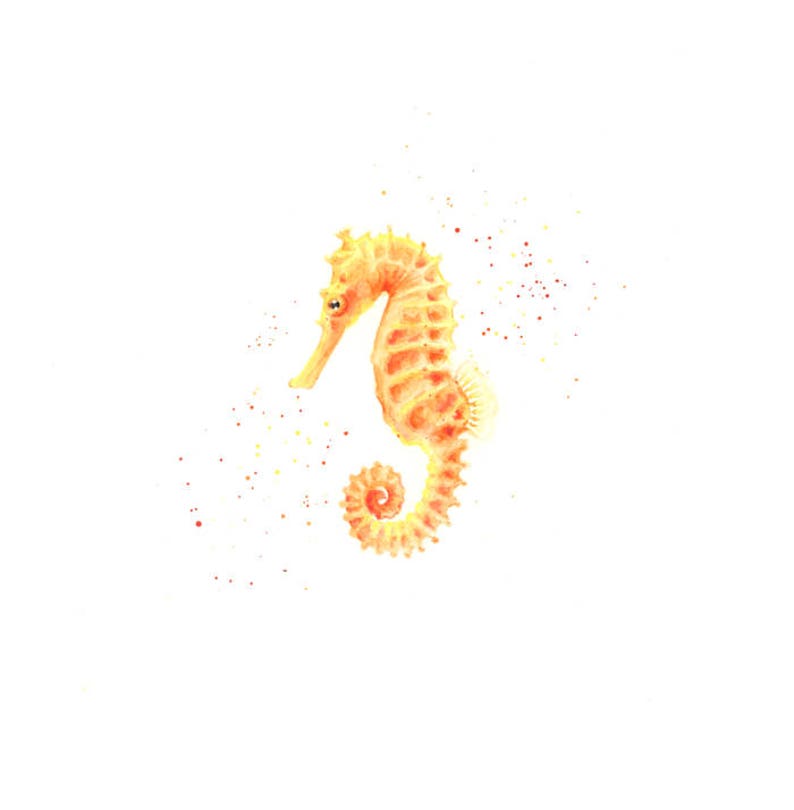 Seahorse Print Seahorse Wall Art Seahorse Art Bathroom Art Etsy
