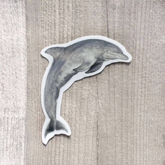 Dolphin Sticker Sheets Lot of 2 Tropical Fish Sea Life Ocean Themed Stickers