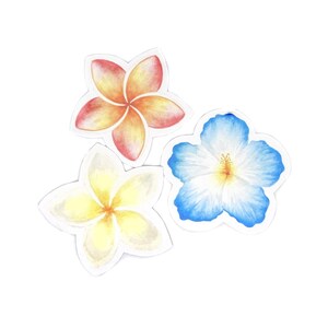 Hibiskus Aufkleber, Aufklebersatz, Aufklebersatz, Blumenaufkleber, Hawaii-Blume, Laptop Aufkleber, Vinyl-Aufkleber, Vinyl-Aufkleber, niedlicher Aufkleber