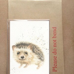 May include: A watercolor painting of a hedgehog on a white card. The hedgehog is brown and gray with a white belly. The card is surrounded by a brown envelope with the words "Please do not bend" printed on it.