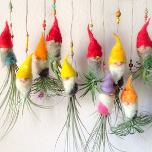 May include: A collection of 10 felt gnome air plant holders in various colors, including red, yellow, orange, purple, and gray. Each gnome has a small air plant growing from its head. The gnomes are hanging from the ceiling with string.