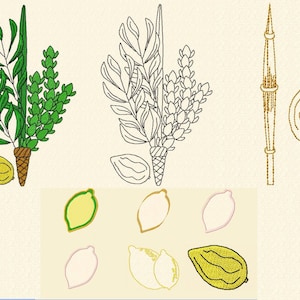 Puede incluir: Un conjunto de cuatro ilustraciones de las cuatro especies utilizadas en la festividad judía de Sucot. Las ilustraciones están en diferentes estilos, incluyendo un conjunto de colores verde y amarillo, un contorno en blanco y negro y un conjunto de color dorado. Las cuatro especies son el etrog, el lulav, el hadas y el aravah.