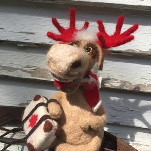 Canadian Moose - Felted