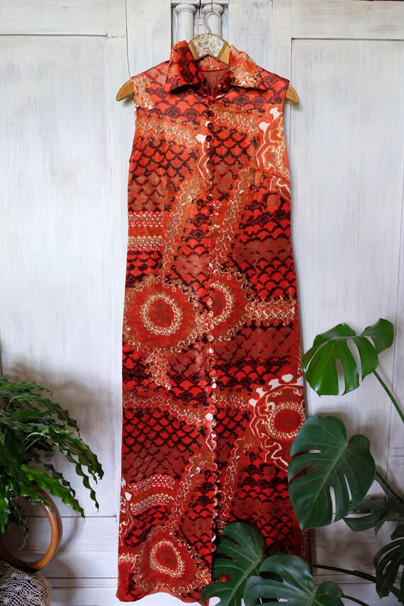 Lucie Linden 70s Vintage dress Velvet psychedelic