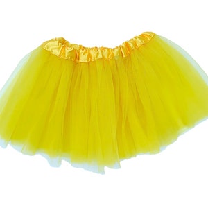 Fairy Costume, Tulle Skirt, Tutu Dress for Girls. Ballet Skirt