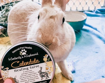 Rabbit Socks Sore Hocks - Etsy