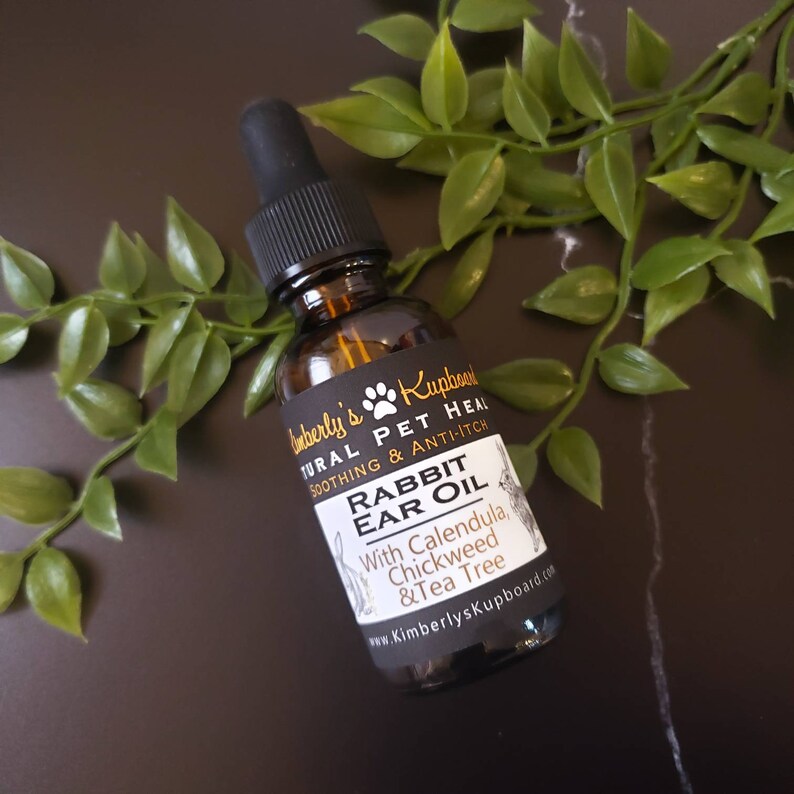 Rabbit Ear Oil Treatment for Ear Mites...made With Chickweed Etsy