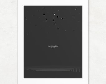 Camelopardalis Constellation Fine Art Print, Celestial Night Sky Illustration, Unframed Giclee Print