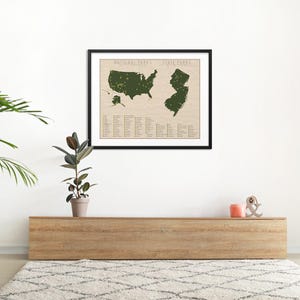 May include: A framed map of the United States with all the national parks marked in green. The map is on a white wall above a wooden shelf with a plant and decorative objects.
