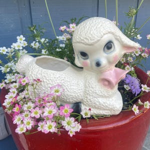 May include: A white ceramic lamb planter with a textured wool finish, large dark eyes, and pink cheek accents. The lamb has a hollow opening on its back for plants and a pink bow detail around its neck, positioned within a red glossy pot.