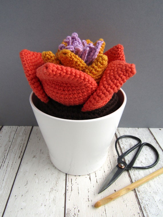 Crocheted succulent