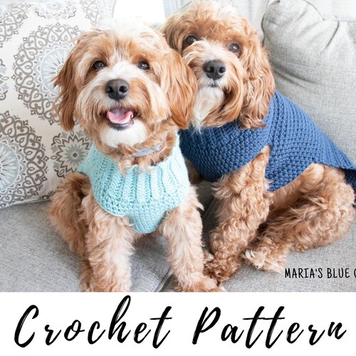 How Should A Dog Sweater Fit