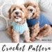 see more listings in the Crochet Patterns section