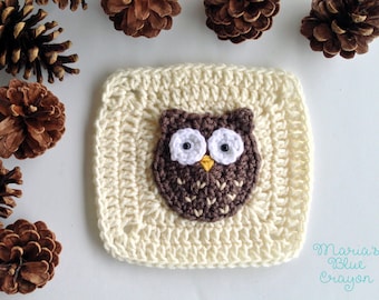 May include: A cream-colored, crocheted square with a brown owl applique. The owl has white eyes, a yellow beak, and a detailed pattern. Pine cones are arranged around the square, creating a rustic, handmade aesthetic.