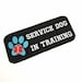 Service Dog Patch - Service Dog In Training, for service dog vest - Hook and loop (male backing), sew on or iron on