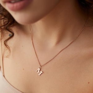 Initialen Kette - Buchstaben Kette - personalisierte Kette - Familie Halskette - Namenskette - Gold, Silber,Roségold - Edelstahlkette - K537