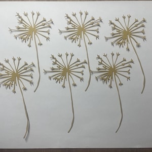 May include: Seven paper cutouts of dandelion seed heads in various stages of dispersal, all in a light brown color, on a white background.