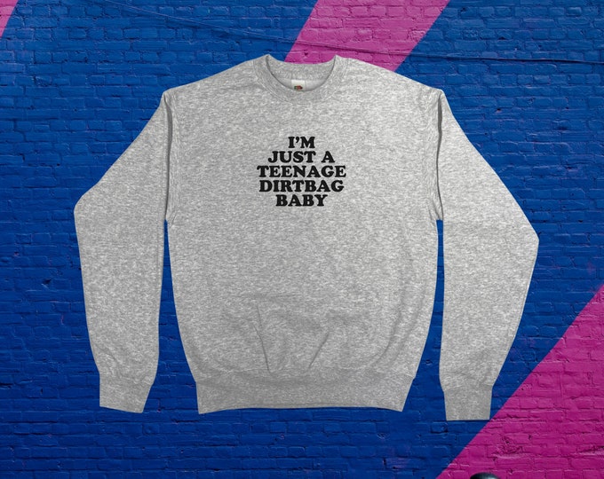 I'm Just A Teenage Dirtbag Baby Sweatshirt || Unisex / Mens / Womens S M L XL
