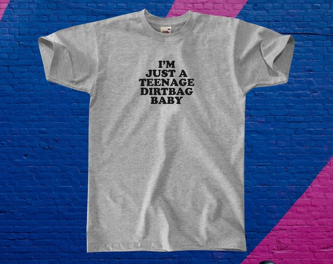 I'm Just A Teenage Dirtbag Baby T-Shirt || Unisex / Mens S M L XL