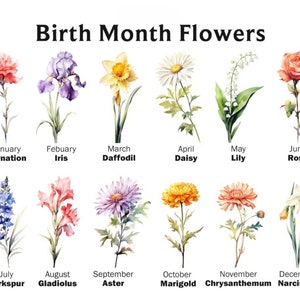 May include: A watercolor illustration of birth month flowers, including carnation, iris, daffodil, daisy, lily, rose, larkspur, gladiolus, aster, marigold, chrysanthemum, and narcissus. Each flower is labeled with its corresponding month.