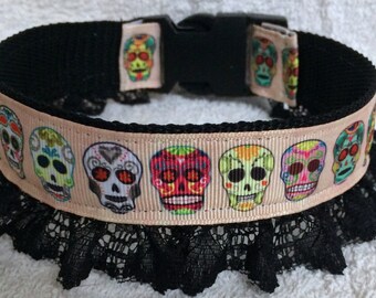CSS Pink Sugar Skulls Latigo Set. main image 0