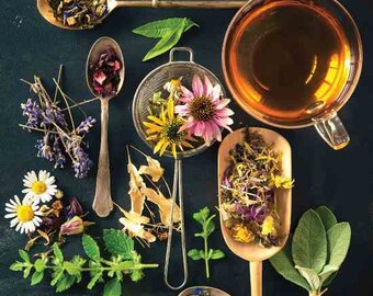 TEA CLUB SUBSCRIPTION - Herbal Tea Posted To Your Door - Natural Remedies - Herbal Tonic Tea - Alternative Therapy - Healthy Tea Gift