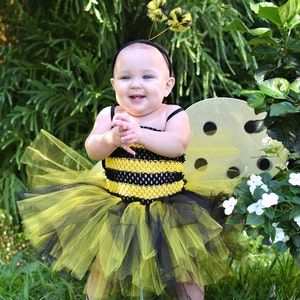 Beautiful Bumblebee!