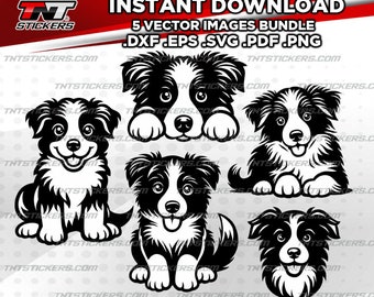 Border Collie Puppy Vector Bundle | svg, eps, png, pdf, dxf (Digital Download)