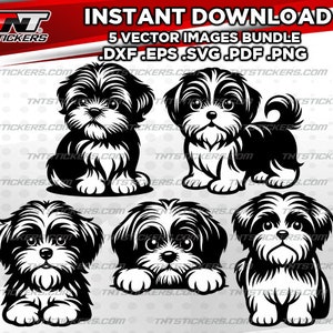 PACCHETTO DI FILE VETTORIALI con disegno di cuccioli di Shih Tzu / svg / eps / png / pdf / dxf / per Cricut cutter, Laser, Silhouette Cameo, Plotter da taglio.