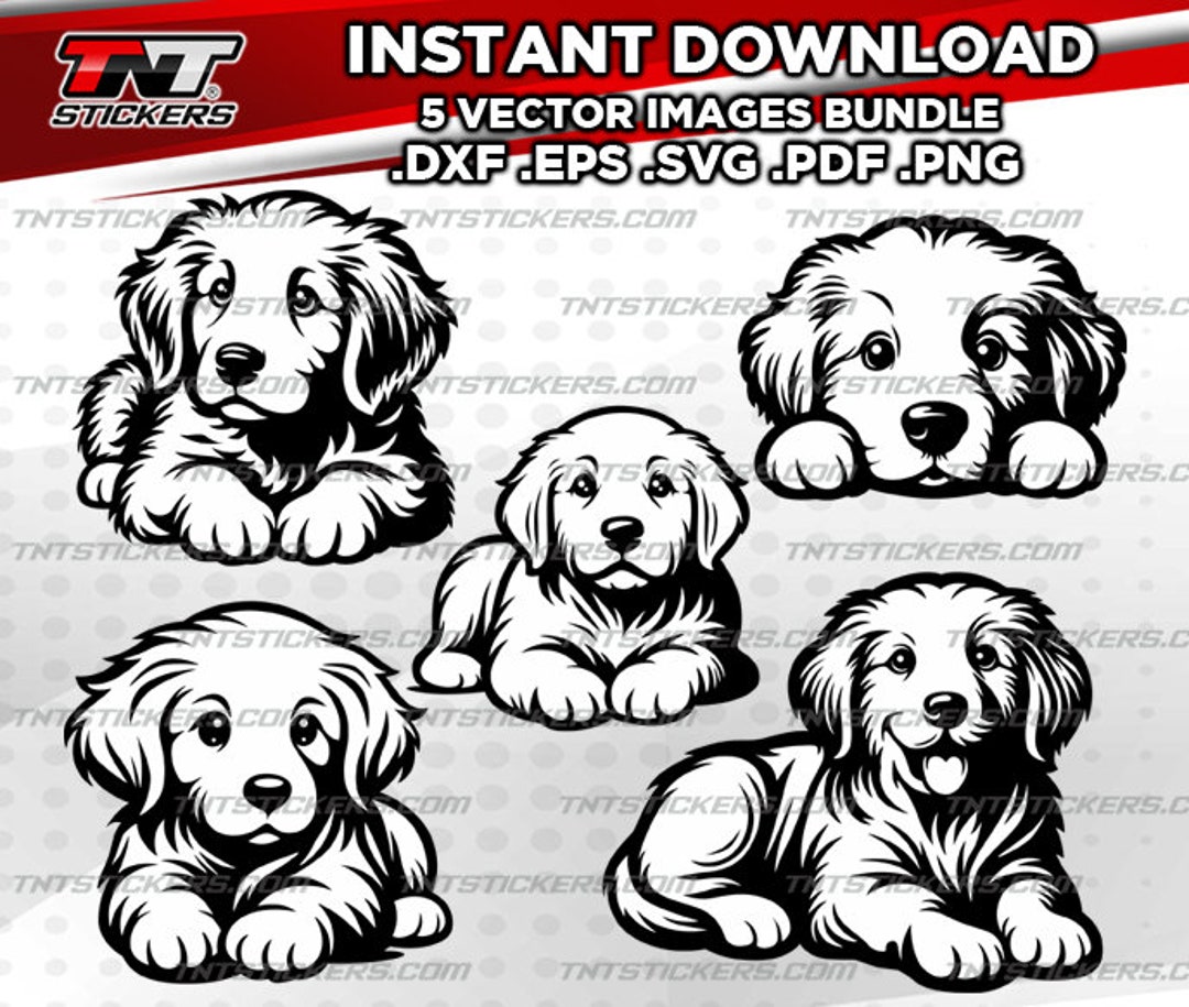 Golden Retriever Puppies Dog VECTOR FILE BUNDLE | Svg | Eps | Png | Pdf ...