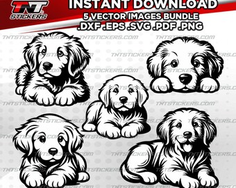 Golden Retriever-puppy's hond VECTORBESTANDBUNDEL | Svg | eps | png | pdf | dxf | Cricutsnijder, laser, silhouette cameo, snijplotter.