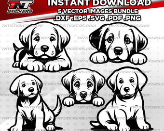 Labrador Retriever Puppy Vector Bundle | svg, eps, png, pdf, dxf (Digital Download)