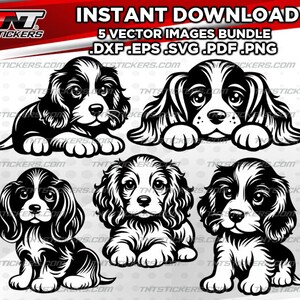 May include: Five black and white vector illustrations of a cocker spaniel puppy in different poses. The puppy is looking at the viewer in one image, looking to the side in another, and sitting in three different poses.