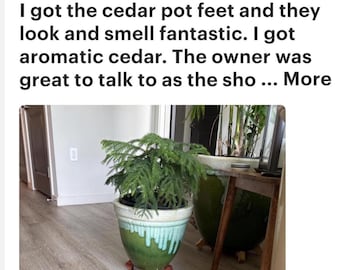 Aromatic Cedar Pot Feet, Plant Risers, Handcrafted Wood (Sets)