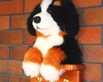 Bernese Mountain Dog leash hanger.