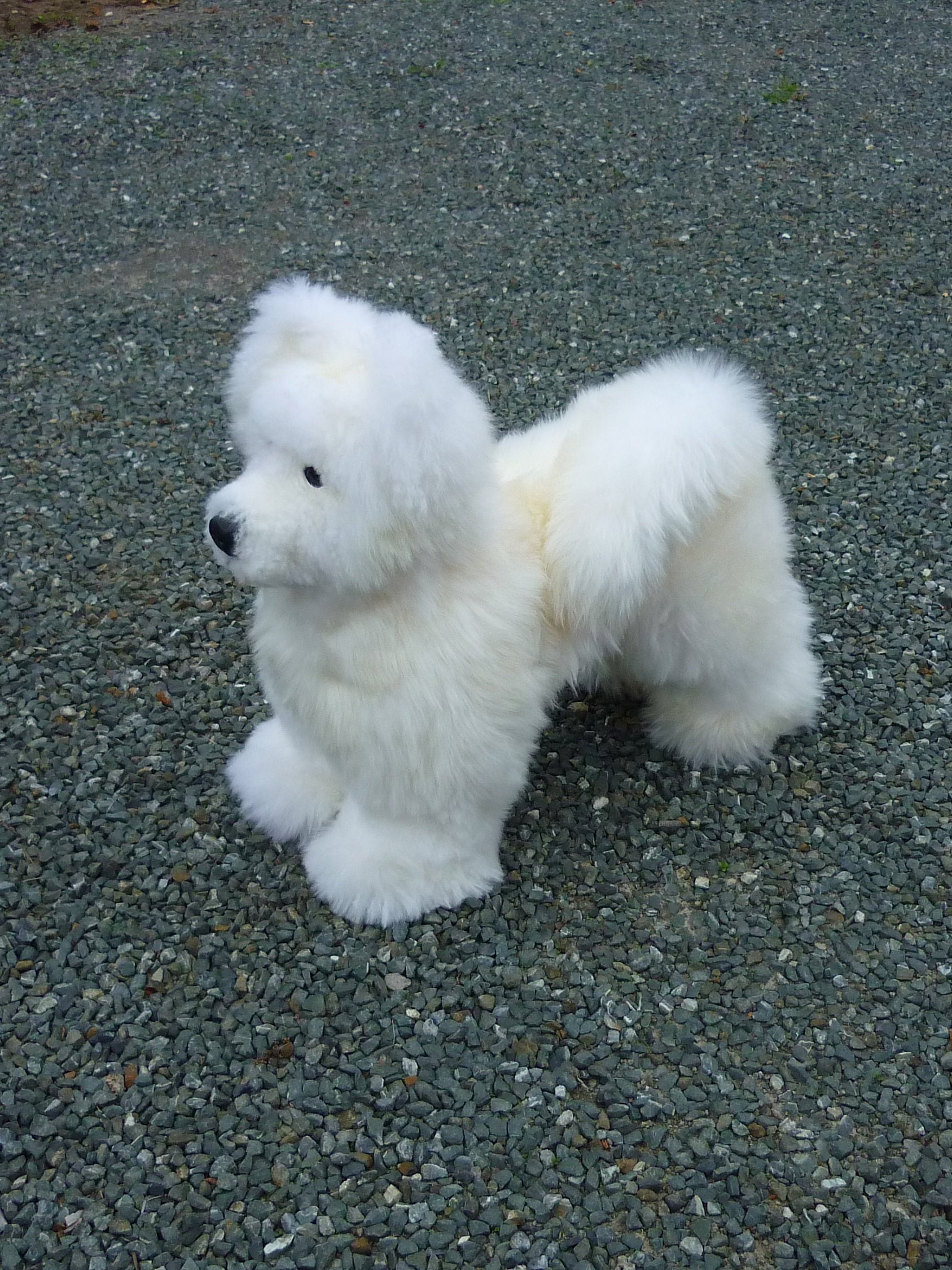 Samoyed Puppy Sheepskin Samoyed Spitz Puppy - Etsy Norway