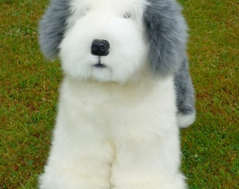 Old English Sheepdog - Cão Nosso