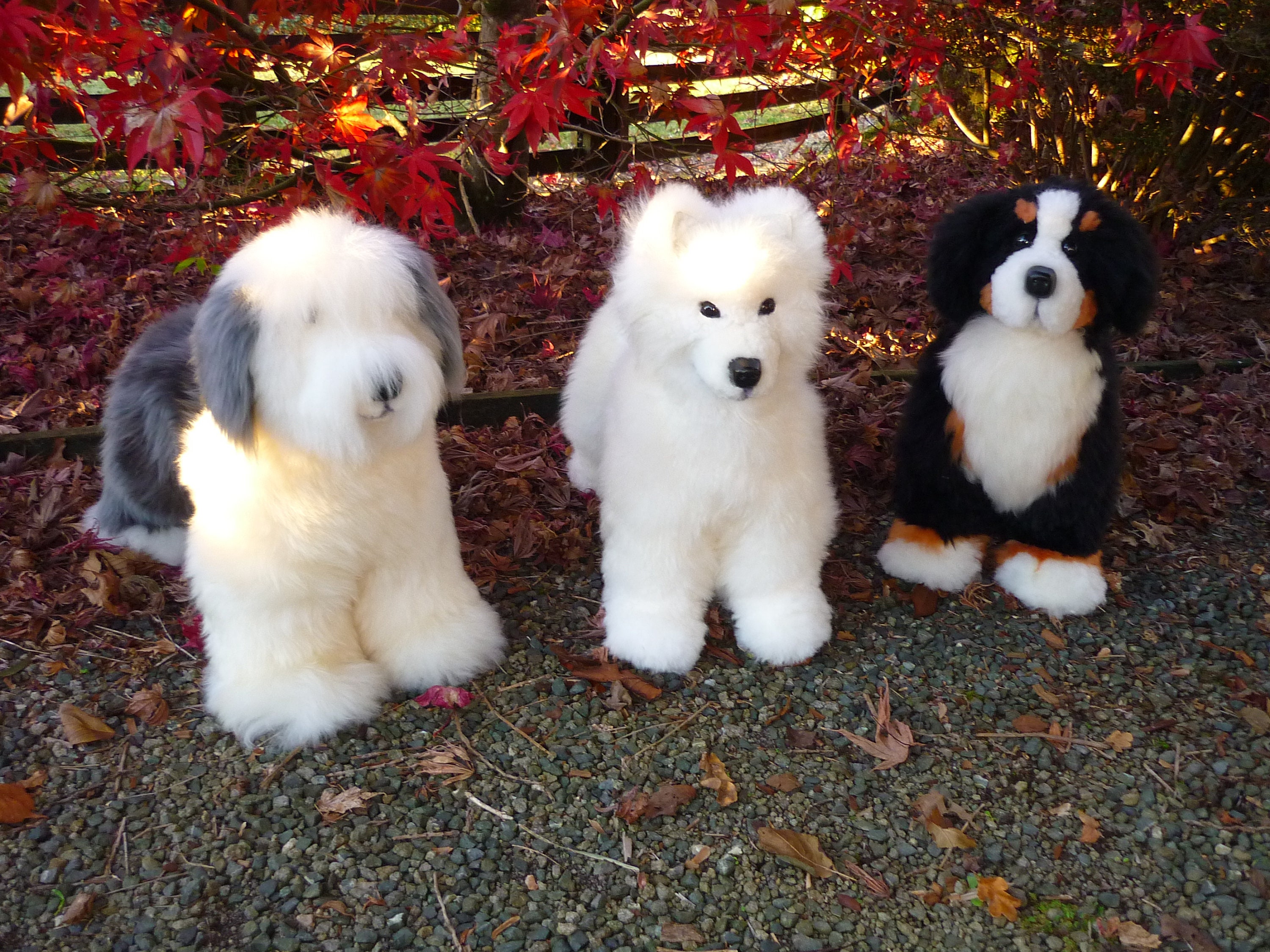 Old English Sheepdog Made With Timber and Genuine Sheepskin. 