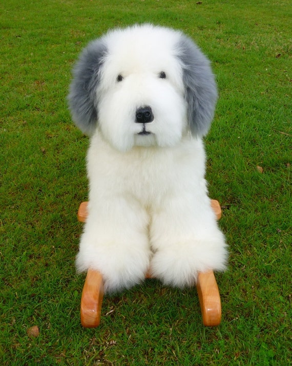 Pastor Ingles  English sheepdog, Old english sheepdog puppy, Old