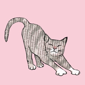 STRETCH.  Een grijze kat op een roze achtergrond met een mooie lange rekbaarheid. Een leuke gedrukte kaart voor kattenfans, van het originele collage-origineel